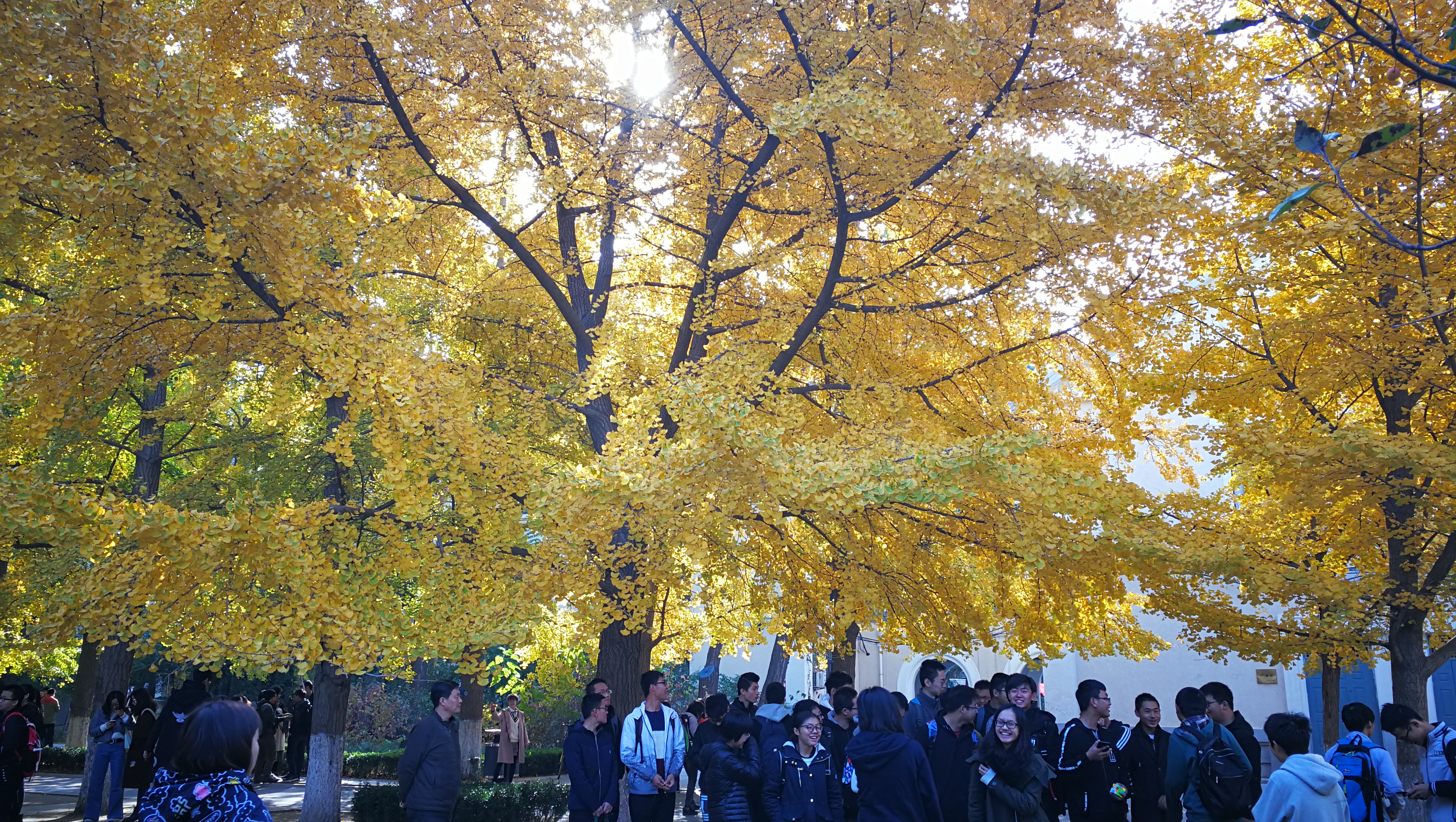 University of Science and Technology Beijing Campus