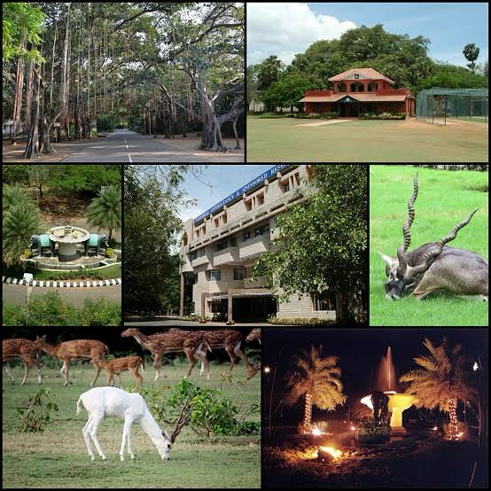 IIT Madras Campus Chennai